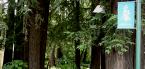 california real estate california real estate